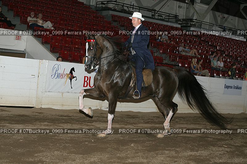 Proof 07Buckeye_0969
