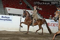 07Buckeye_0970 proof