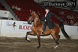 07Buckeye_0971 proof