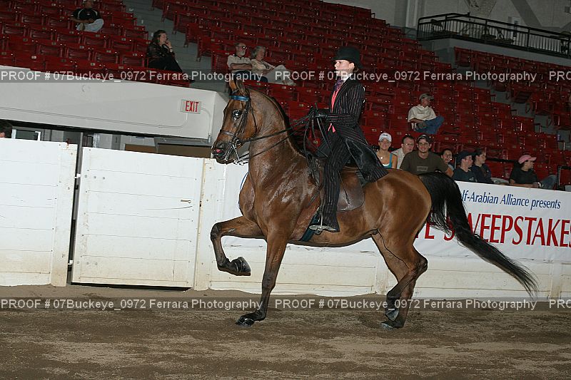 Proof 07Buckeye_0972