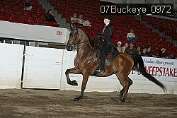 07Buckeye_0972 proof