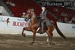 07Buckeye_0973 proof