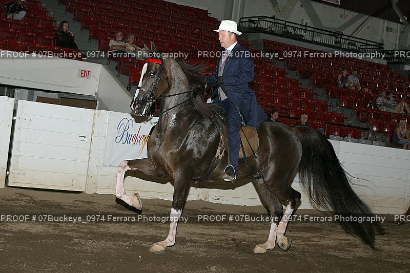Proof 07Buckeye_0974