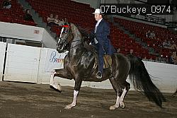 07Buckeye_0974 proof