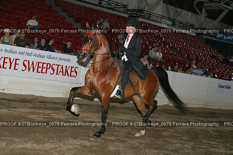 Proof 07Buckeye_0976