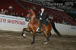 07Buckeye_0976 proof