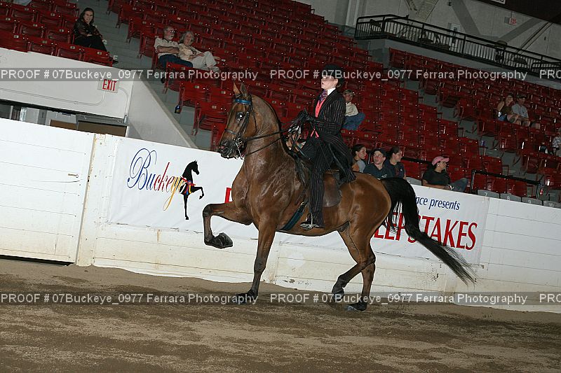 Proof 07Buckeye_0977
