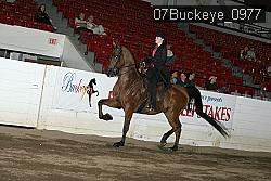 07Buckeye_0977 proof