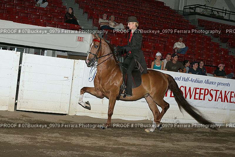 Proof 07Buckeye_0979