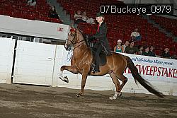 07Buckeye_0979 proof