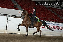 07Buckeye_0981 proof
