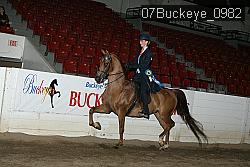 07Buckeye_0982 proof