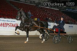 07Buckeye_1059 proof