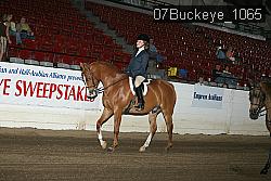 07Buckeye_1065 proof