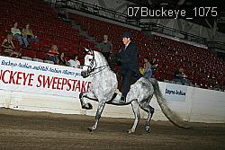 07Buckeye_1075 proof