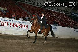 07Buckeye_1076 proof