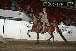 07Buckeye_1077 proof