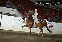 07Buckeye_1079 proof