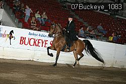 07Buckeye_1083 proof