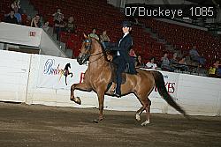 07Buckeye_1085 proof