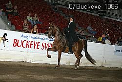 07Buckeye_1086 proof