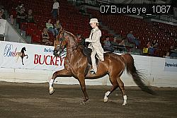 07Buckeye_1087 proof