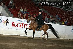 07Buckeye_1089 proof