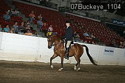 07Buckeye_1104 proof