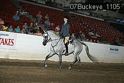 07Buckeye_1105 proof