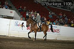 07Buckeye_1108 proof