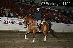 07Buckeye_1109 proof