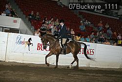 07Buckeye_1111 proof