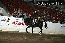 07Buckeye_1114 proof