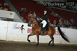 07Buckeye_1127 proof
