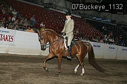 07Buckeye_1132 proof