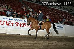 07Buckeye_1133 proof