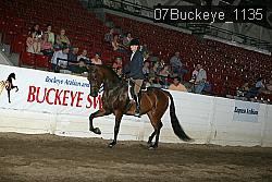 07Buckeye_1135 proof