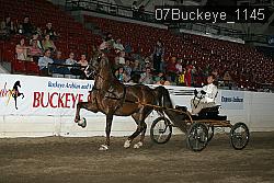 07Buckeye_1145 proof