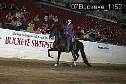07Buckeye_1152 proof