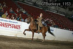 07Buckeye_1153 proof