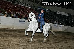 07Buckeye_1155 proof