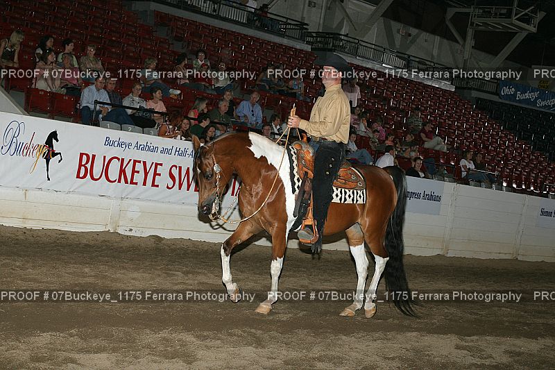 Proof 07Buckeye_1175