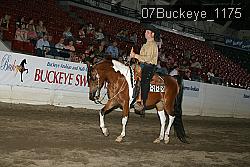07Buckeye_1175 proof