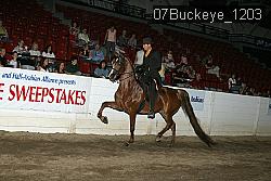 07Buckeye_1203 proof