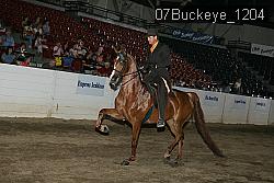 07Buckeye_1204 proof