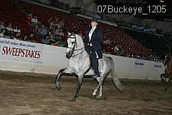 07Buckeye_1205 proof