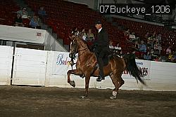07Buckeye_1206 proof