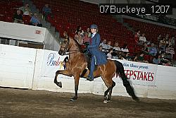 07Buckeye_1207 proof