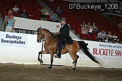 07Buckeye_1208 proof