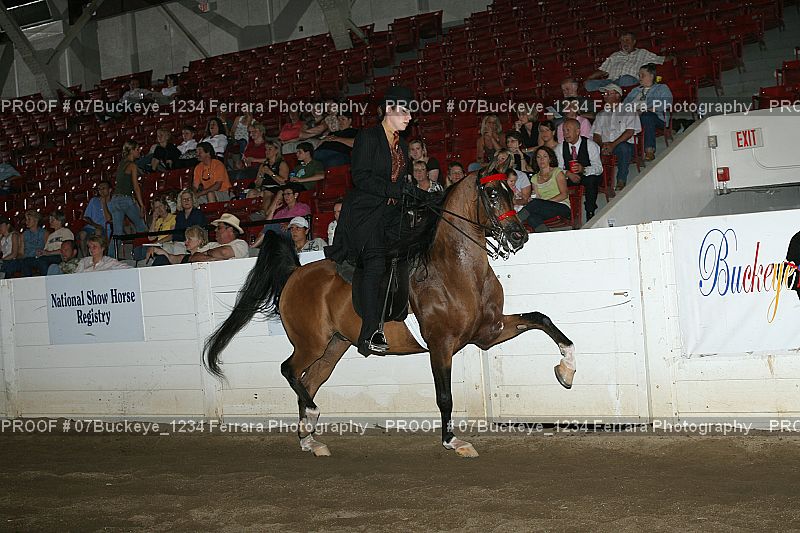 Proof 07Buckeye_1234